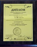 2006 Лауреат конкурса Серебрянная игла Челябинск